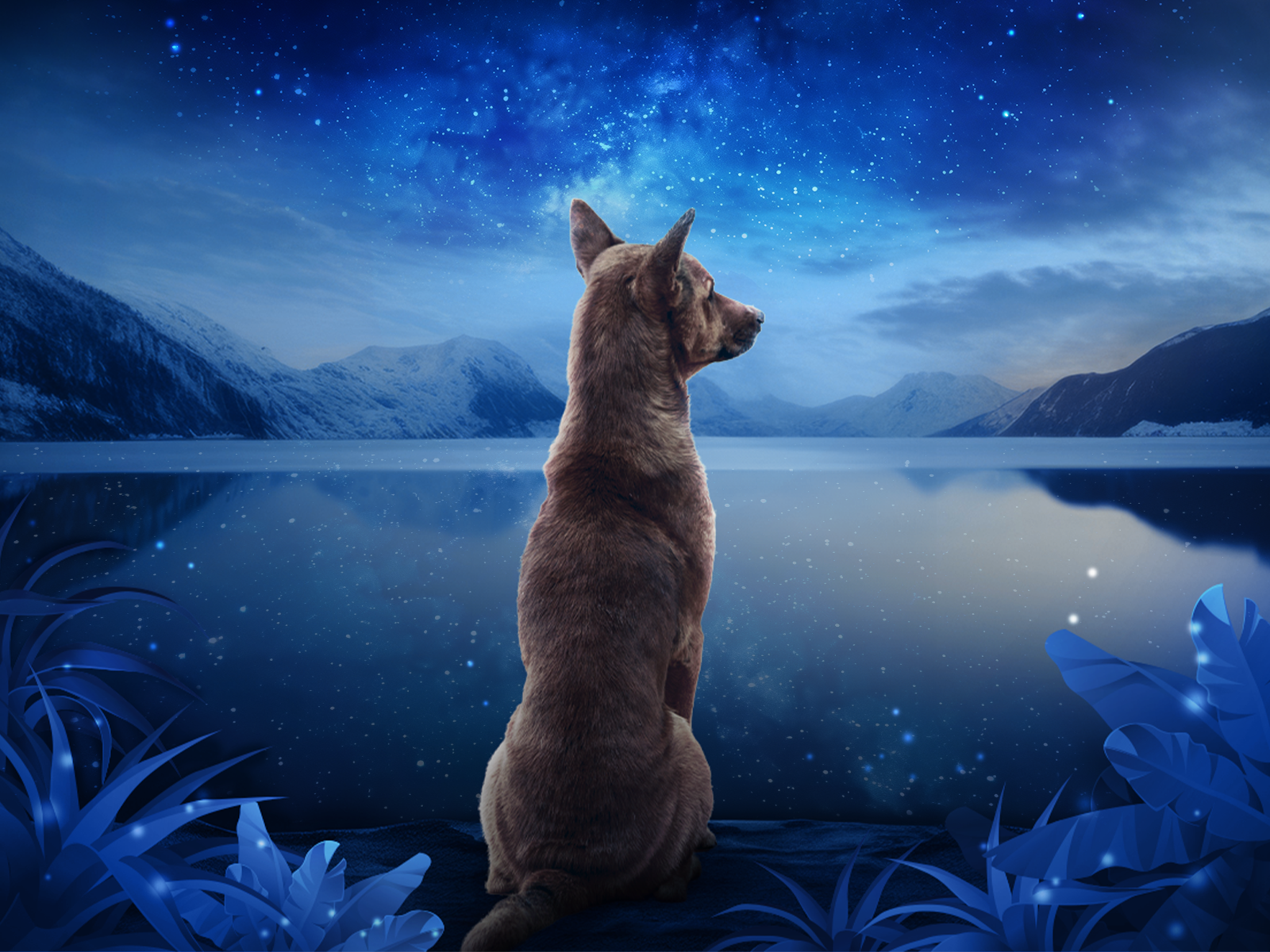 Primal Spirit - karma