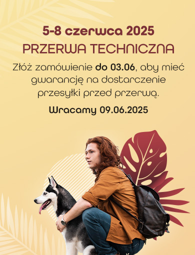 Przerwa techniczna