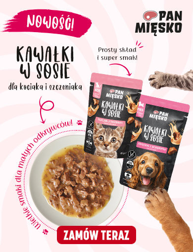 Saszetki kociak szczeniak