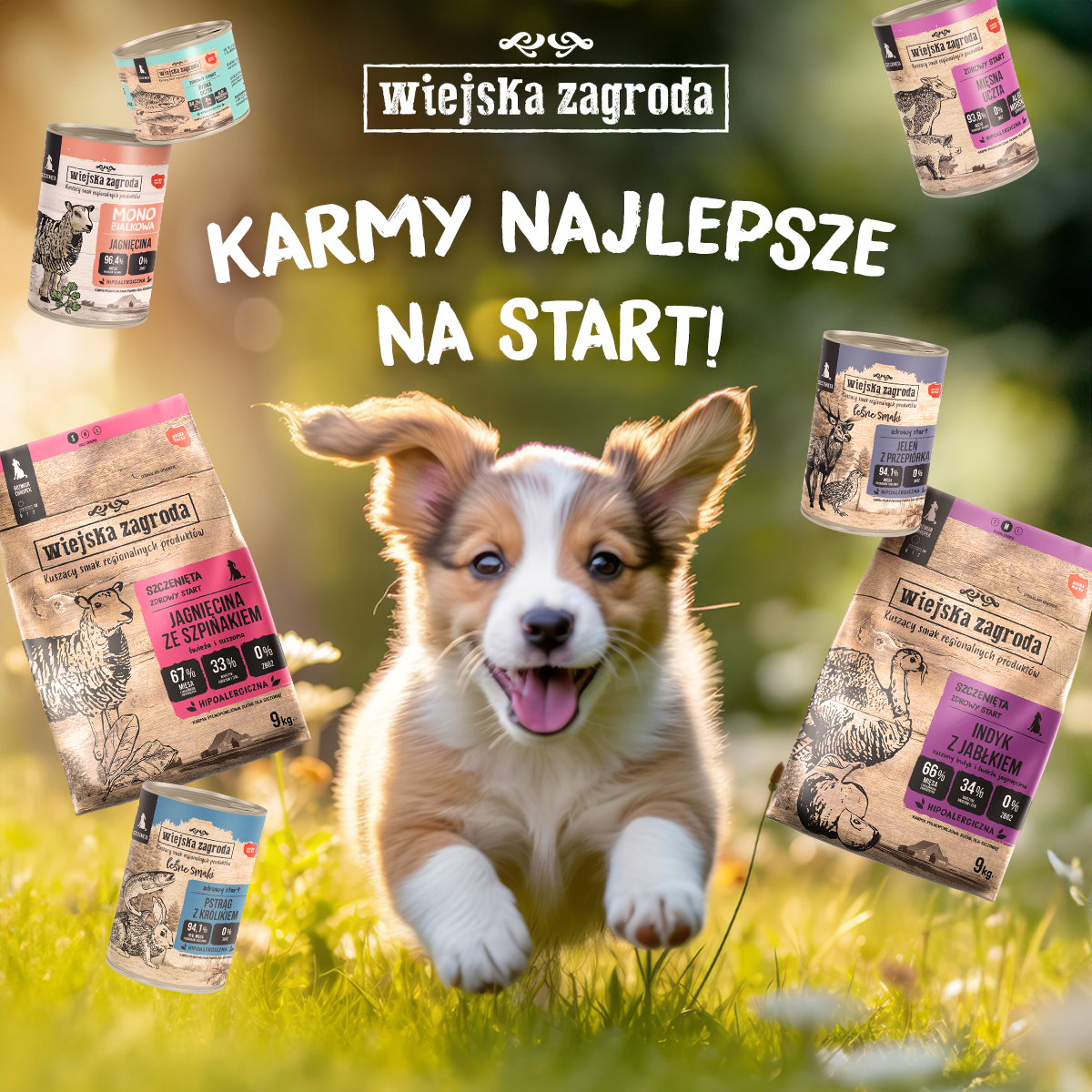 Najlepsza karma dla szczeniąt – jaką wybrać? 