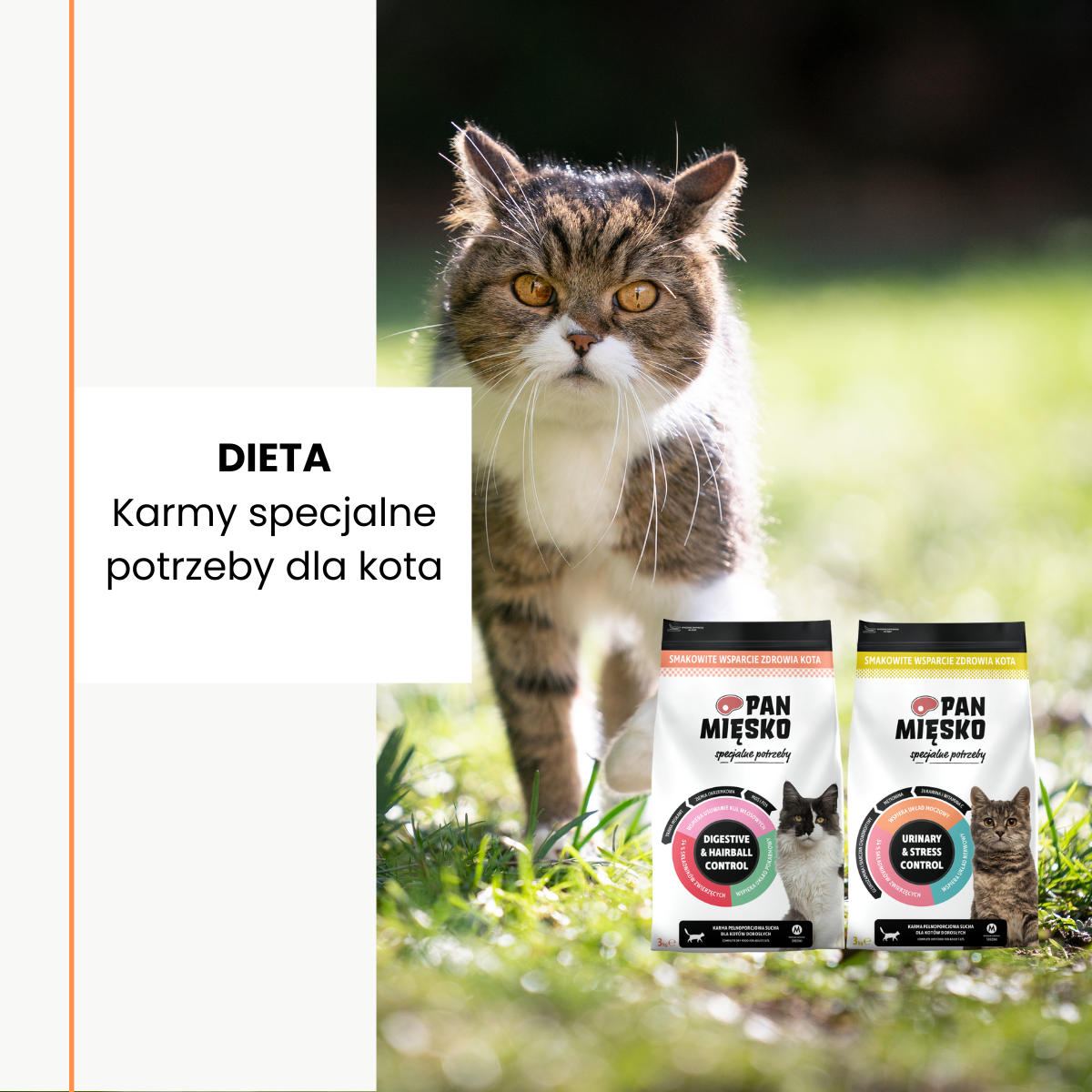 Karma dla kotów specjalne potrzeby - Pan Mięsko