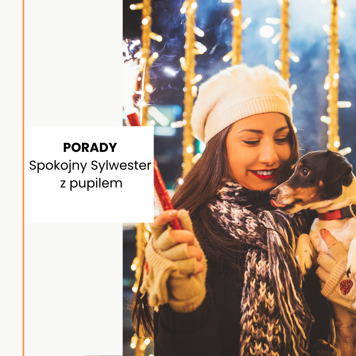 Jak przygotować psa i kota na Sylwestra? Spokojna noc bez stresu